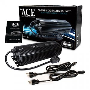 The Ace Electronic Digital Ballast