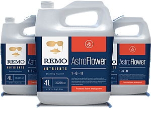 Remo Astro Flower
