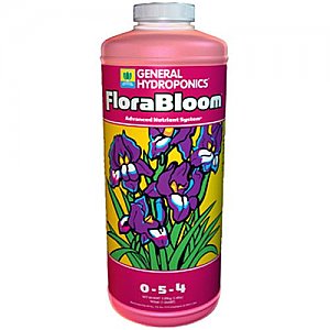 Flora Bloom
