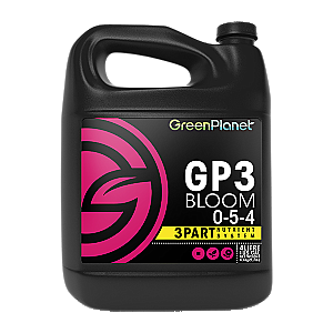GP3 Bloom