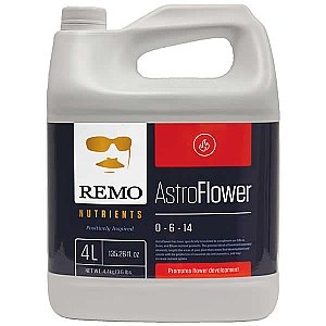 Remo Astro Flower